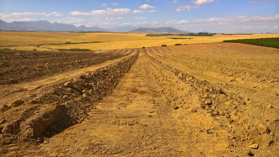 Soil Preparation